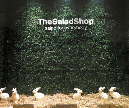 the salad shop chris lee