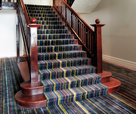 rugs carpet & design steves apartment 2