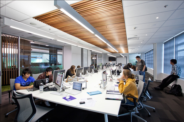 Screenwood Ceiling Tiles at the University of Queensland