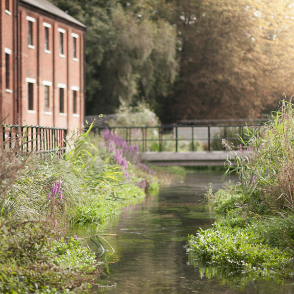 The-beautiful-River-Test-flowing-through-the-centre-of-the-Bombay-Sapphire-Distillery-at-Laverstoke-Mill
