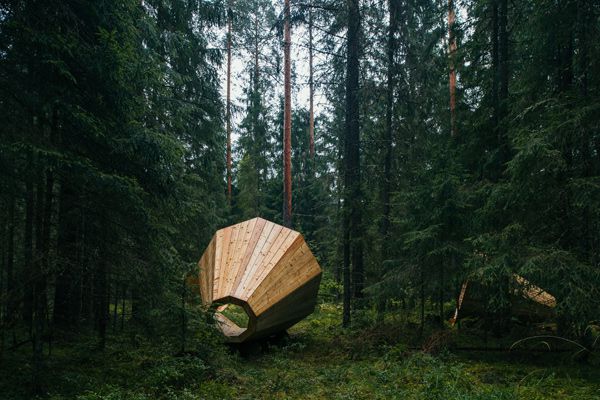 A magical architecture installation for forest dwellers
